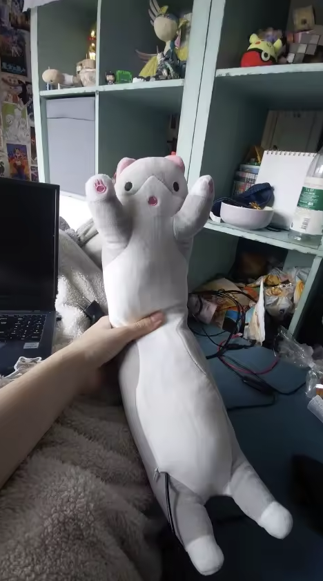 Almohada de gato sujetada mostrando su tamaño - reseña Lucía V.