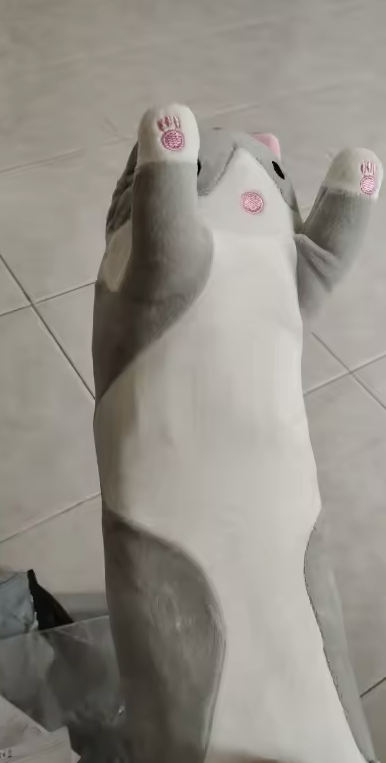 Detalle de las patitas rosas de la almohada de gato - reseña Paula S.